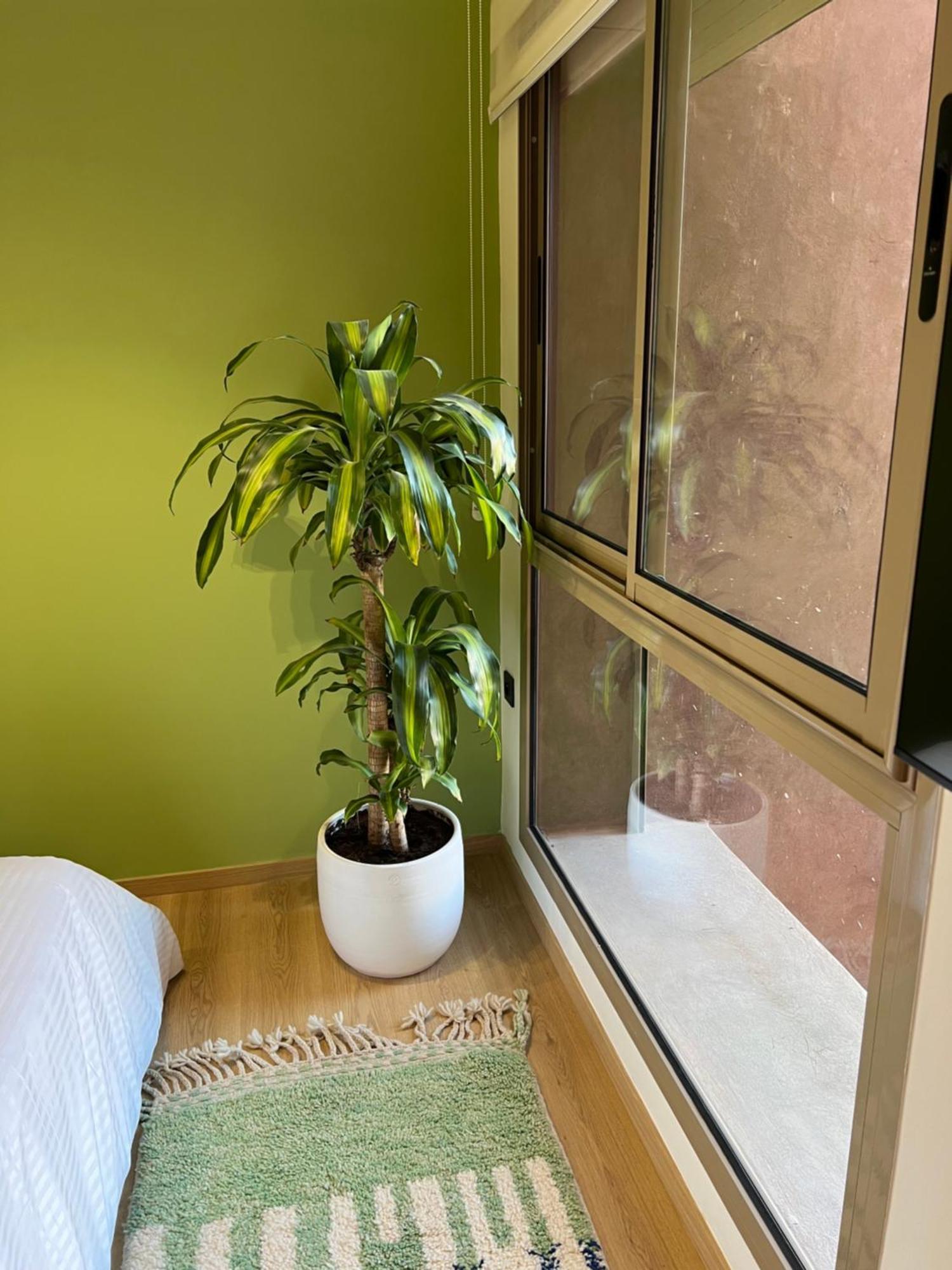 Luxe Appartement A Louer Pour Les Familles Marrakesh Exterior photo